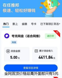 图片[3]九创网-网络项目-创业兼职副业教程任推邦平台_全网首码_漏洞满额点位（流量大佬看过来）九创网-网络项目-创业兼职副业教程九创网-网络项目-创业兼职副业教程