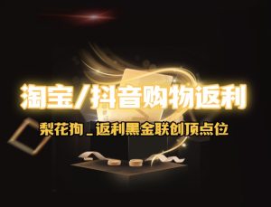 淘宝/抖音购物返利_分享自用返利点位最高的平台九创网-网络项目-创业兼职副业教程九创网-网络项目-创业兼职副业教程